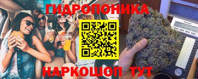 спиды Можга