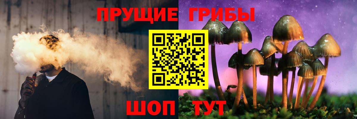Галлюциногенные грибы Psilocybe Феодосия